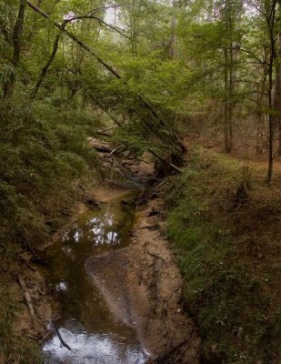 Prairie Branch Creek