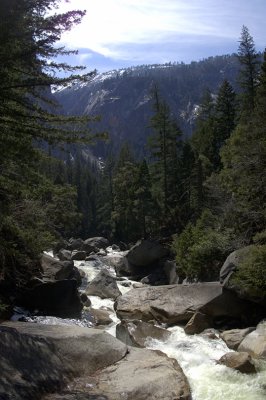 Vernal Creek
