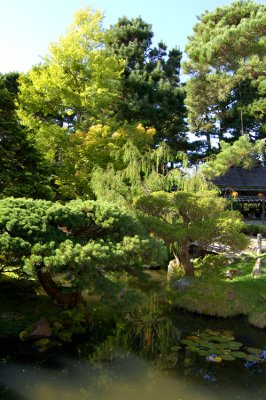 Golden Gate Park