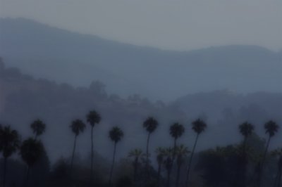 g6/98/376698/3/84674394.hRM8U8zW.jpg