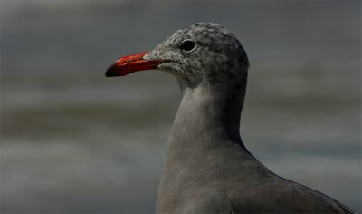 g6/98/376698/3/84674805.M77YryVC.jpg