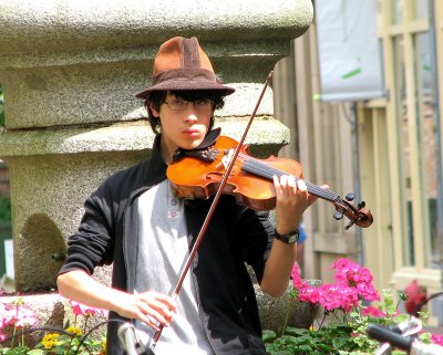 Cheery Fiddler