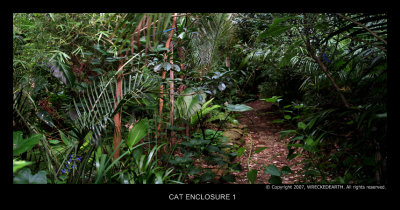 CAT ENCLOSURE 1.jpg