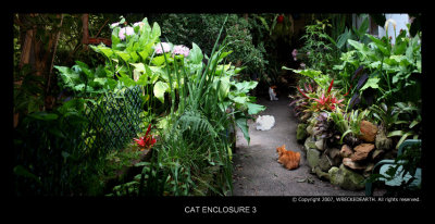 CAT ENCLOSURE3.jpg