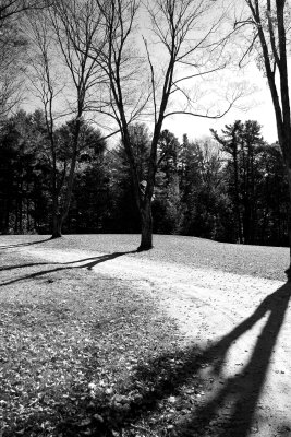 New England '06
