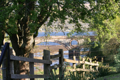 Bucolic view