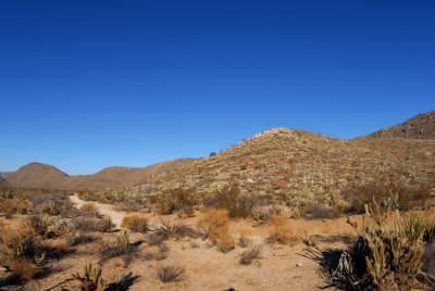 DSC_0082.jpg Anza Borego State Park