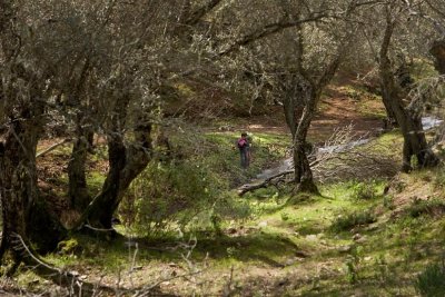 March 17 - Luis and S2 Down At The Creek