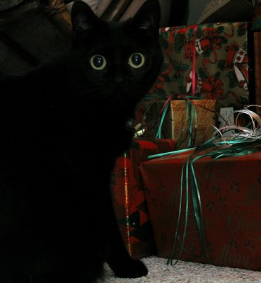 Alvin and the Christmas Gifts