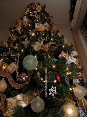 Tall Christmas Tree
