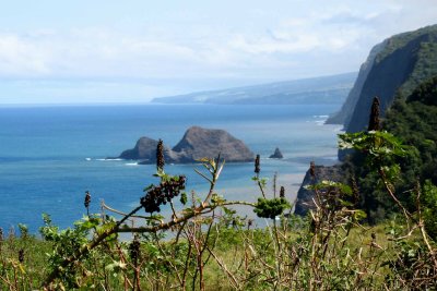 pololu view
