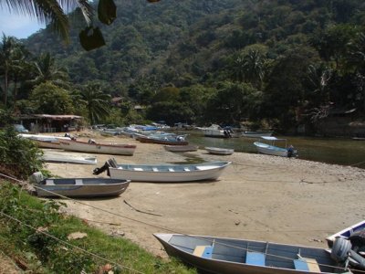 g6/98/650998/3/75100898.ogaBYTZ0.jpg