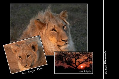 Zuid-Afrika 2006