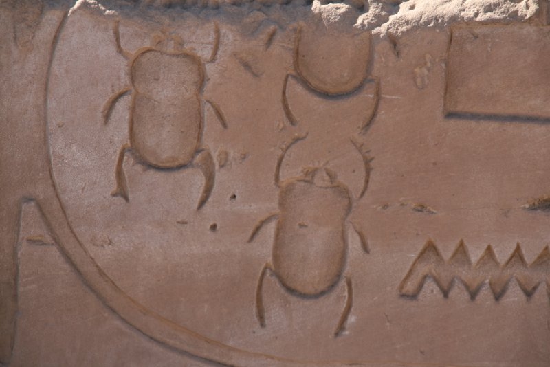 Scarabs in the Chnoem temple - Scarabeen in de tempel van Chnoem