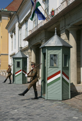 Presidential guard