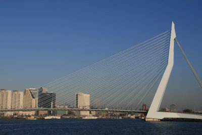 Rotterdam, Erasmus Bridge