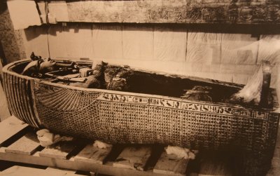 The mummy and sarcophagus of  Tut Ankh Amun.