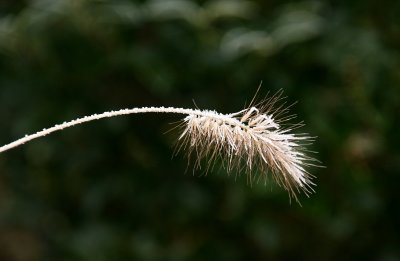 g6/98/696298/3/73841661.Ck3KB1w2.jpg