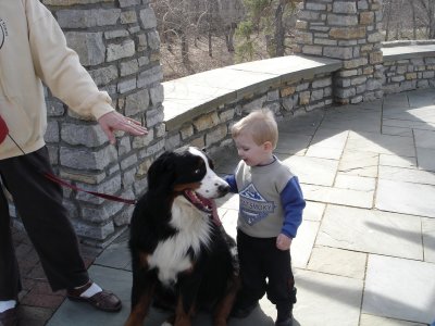 A new friend