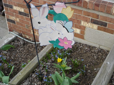 Spring is coming!