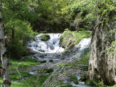 DSC01859.JPG