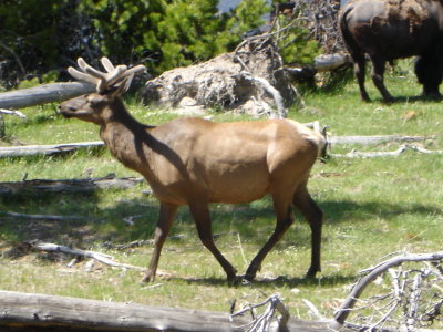 DSC02018.JPG