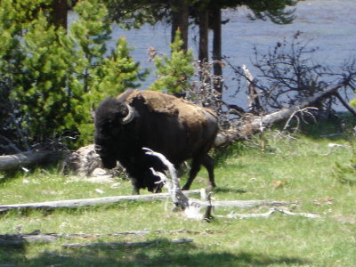 DSC02019.JPG