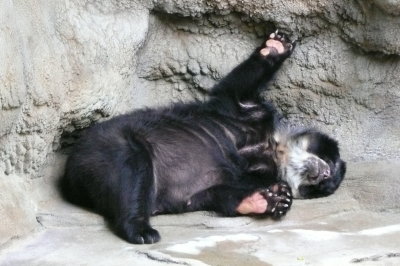 Nap time