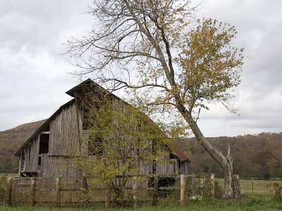 Down on the Farm
