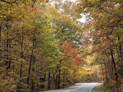 Pig Trail Scenic Byway