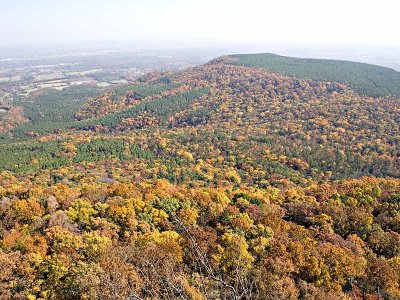 Mt. Nebo