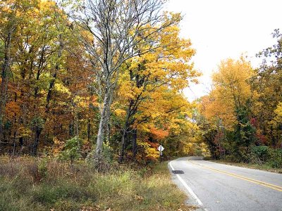 Pig Trail Scenic Byway