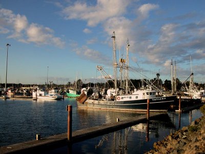 Boat Harbor