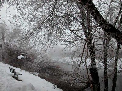 Lonely Bench