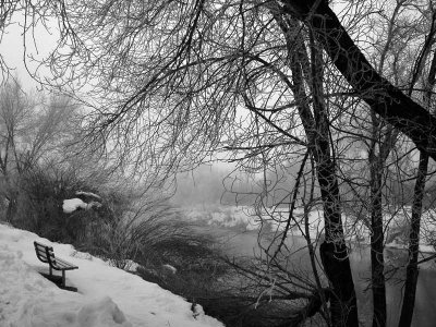 Lonely-Bench_BW