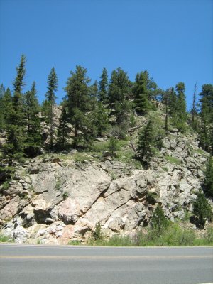 IMG_0084.JPG