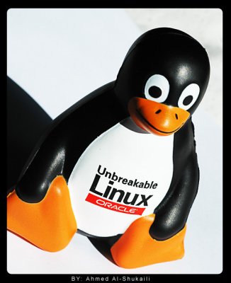 Linux - Oracle unbreakable