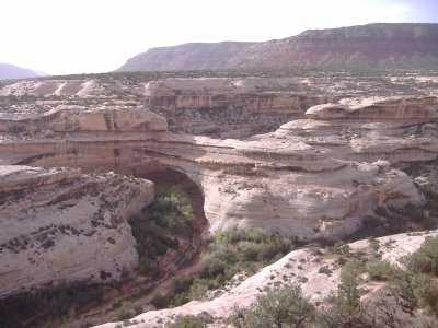 DSCF1426.JPG