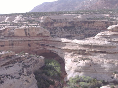 DSCF1427.JPG
