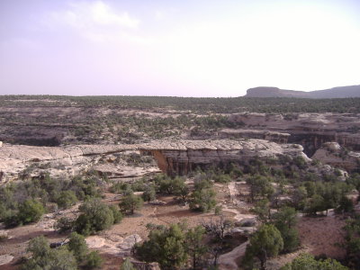 DSCF1428.JPG