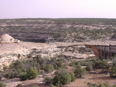DSCF1429.JPG