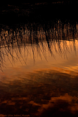 sunset reflections 700.jpg