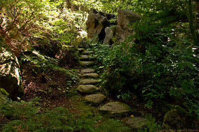 botanical garden japanese stairs 2 700.jpg