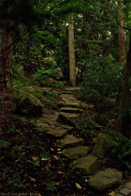 botanical garden japanese stairs3 700.jpg
