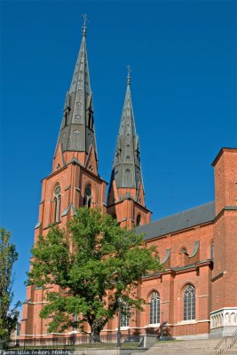 domkyrkan uppsala 7 700.jpg