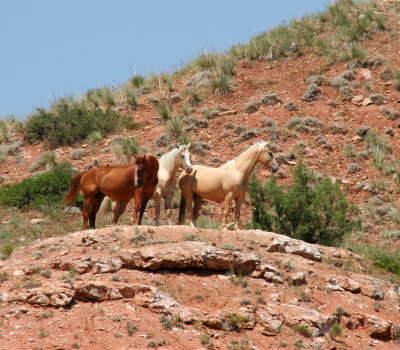 Wyoming