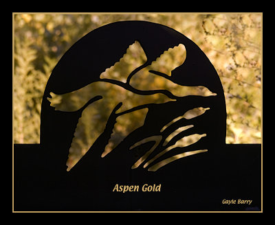 aspen_gold