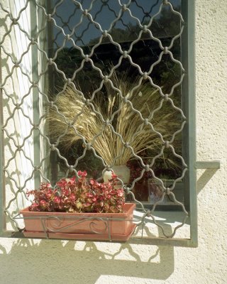 window planter.jpg