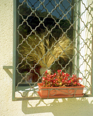 window planterb.jpg final