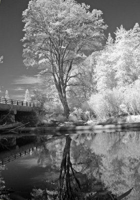 Yosemite-IR4.jpg